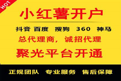 SEM投放策略：成功案例解析